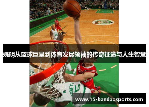 姚明从篮球巨星到体育发展领袖的传奇征途与人生智慧