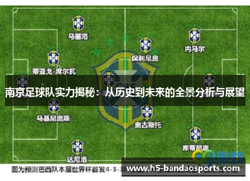 南京足球队实力揭秘：从历史到未来的全景分析与展望