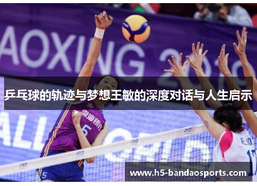 乒乓球的轨迹与梦想王敏的深度对话与人生启示